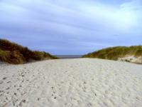 Hvide Sande Weg zum Strand