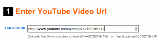 EmbedPlus URL des Videos eingeben